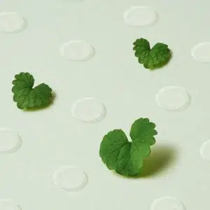 Centella-Spot-Patch-slide-02.webp
