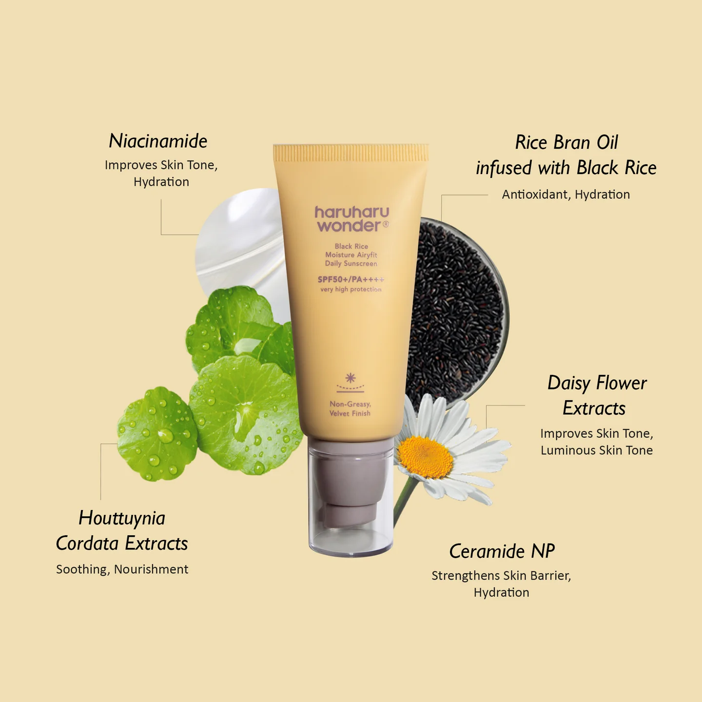 Black Rice Moisture Airyfit Daily Sunscreen SPF50+/PA++++