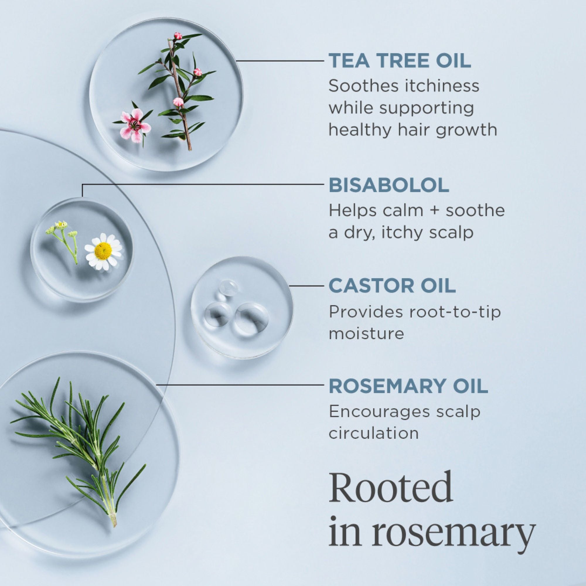Briogeo Scalp Revival Rosemary Pre-Wash Oil