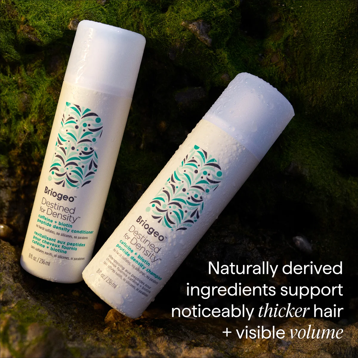 Briogeo Destined For Density Caffeine + Biotin Peptide Density Shampoo