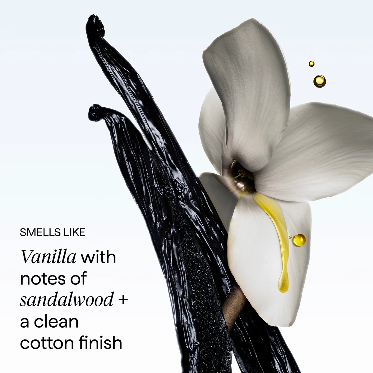 Briogeo Destined For Density Caffeine + Biotin Peptide Density Shampoo